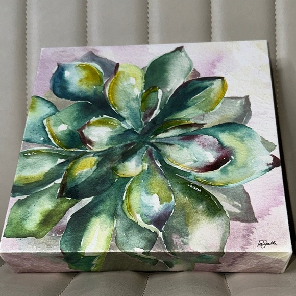 Tre Sorelle Studios "Succulent Watercolor" Painting Print 8" Stretched Canvas GU - Picture 3 of 14